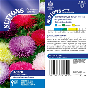 Aster Tall Fraggle Mix